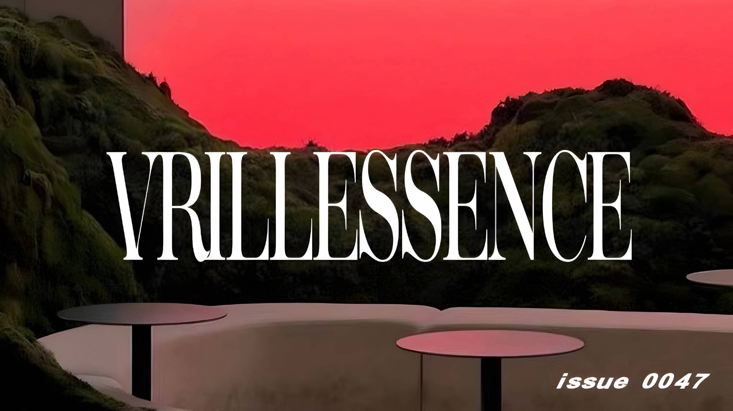 VRILLMAXX TO SUCCESS